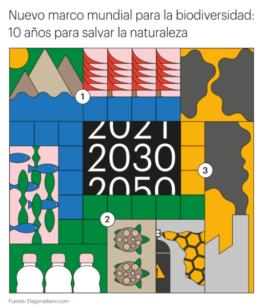 Mucho Dato 60